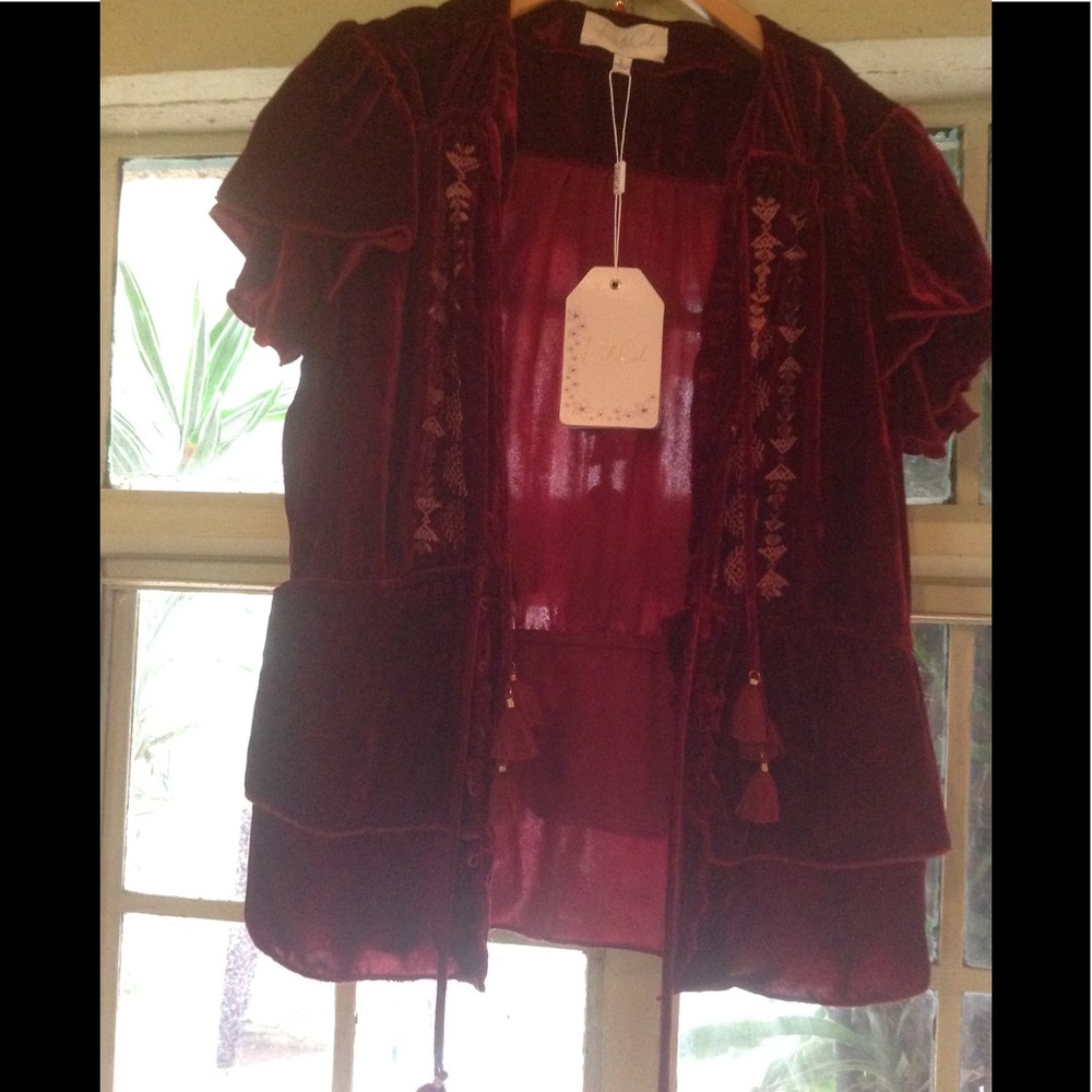 SALE! ♥️🦃RARE Rahicali velvet peasant top